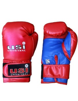 Usi 612Bv Bouncer Boxing Gloves (Junior) 