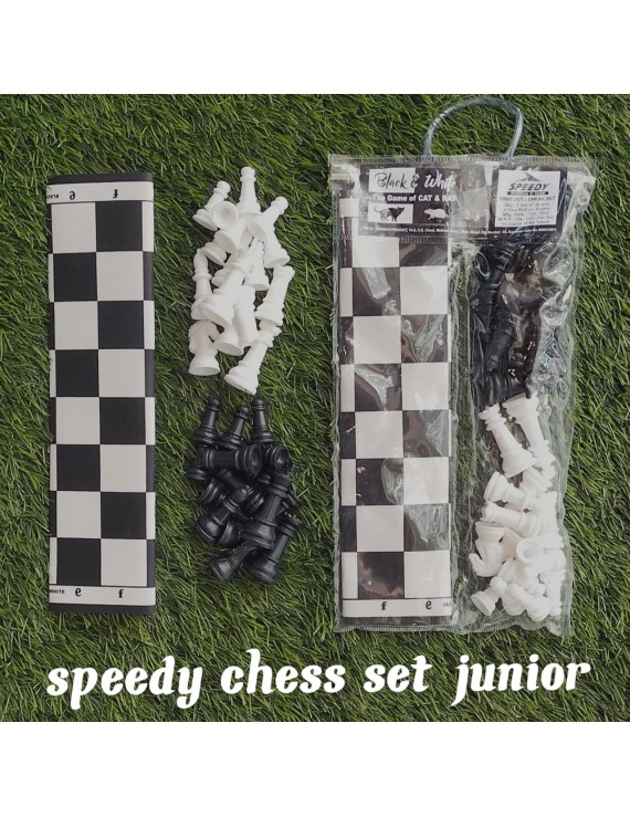 Speedy Practice Small Chess Board Set  