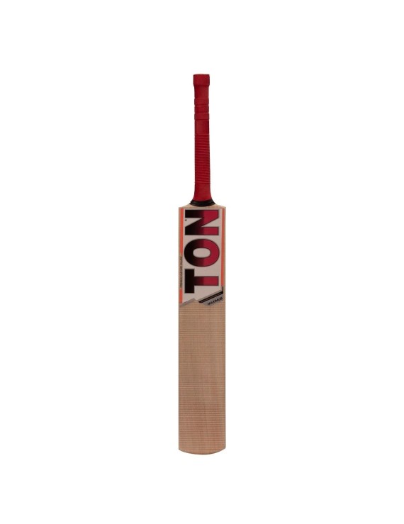 Ss Ton Maximus Kashmir Willow Cricket Bats (Mens) 