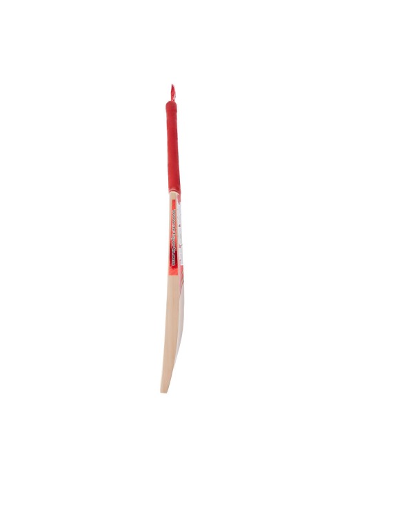 Mrf Champion Kashmir Willow Cricket Bats (Size 5) 