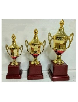 Victory Trophies For First, Second And Third Place  (8.5/9.5/11 Inch) 
