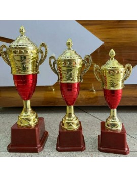 Victory Trophies For First, Second And Third Place  (15/17/19 inch) 