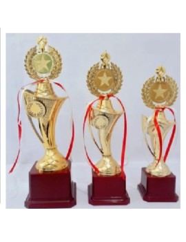 Victory Trophies For First, Second And Third Place  (12/13/14 Inch) 