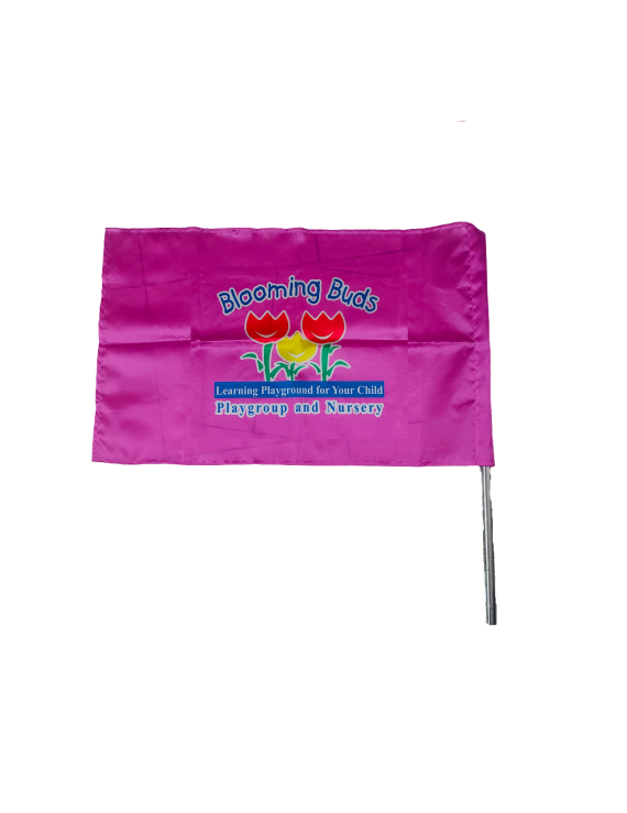 Customized Flag 