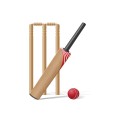 Cricket Accessories