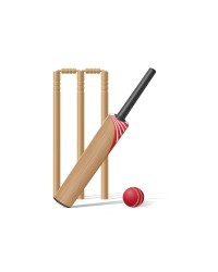 Cricket Accessories