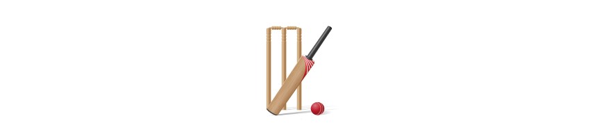 Cricket Accessories