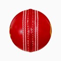 Cricket Leather Ball