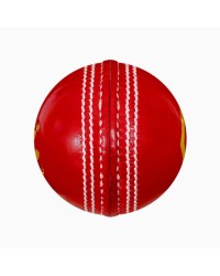 Cricket Leather Ball