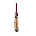Tennis Cricket Bat
