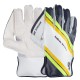 SG RSD XTREME CRICKET WK GLOVES (MULTI COLOR)
