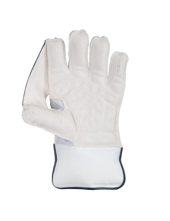 Sg Rsd Xtreme Cricket Wicket Keeping Gloves (Multi Color) 