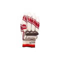 Cricket Batting Gloves 
