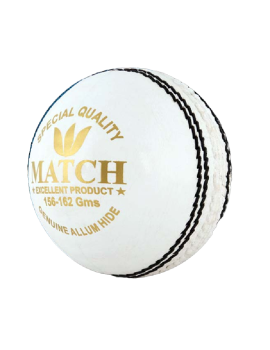 Aj Special Quality Cricket Leather Balls (White)