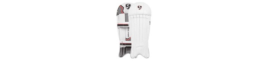 Cricket Wicket Keeping Pads