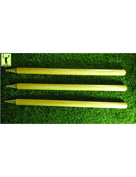 Cricket Stumps