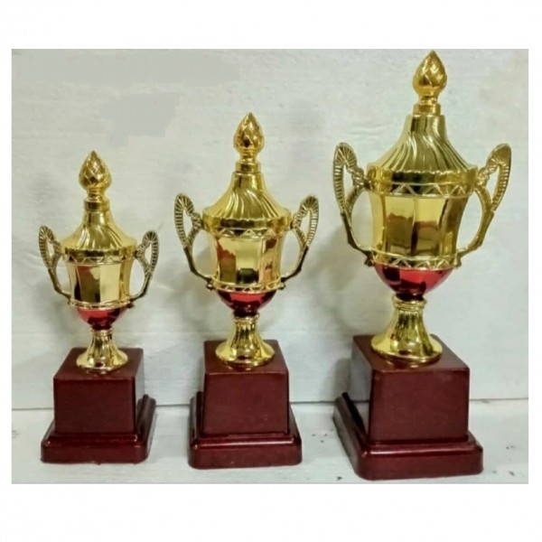Victory Trophies For First, Second And Third Place  (8.5/9.5/11 Inch) 