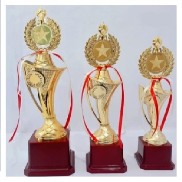 Victory Trophies For First, Second And Third Place  (12/13/14 Inch) 