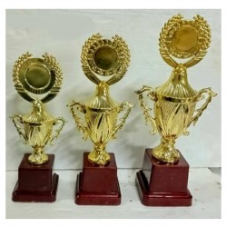 Victory Trophies For First, Second And Third Place  (9/11.5/14 Inch) 