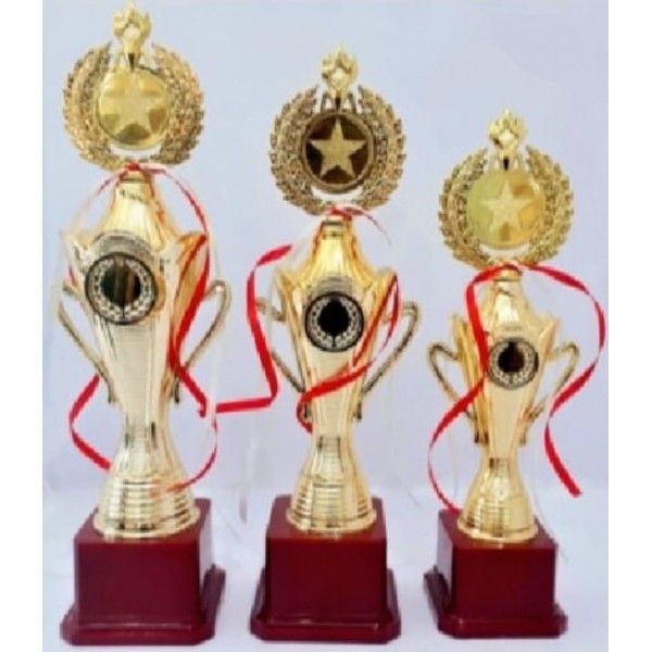 Victory Trophies For First, Second And Third Place  (12.5/13.5/14.5 Inch) 