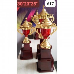 Chendla Victory Trophies 617 For First, Second And Third Place