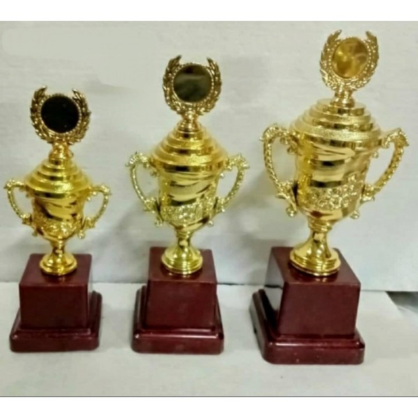 Victory Trophies For First, Second And Third Place  (9/10/11 Inch) 