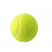 Cricket Tennis Ball (6)