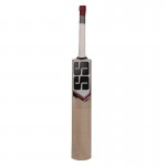 SS 281 Kashmir Willow Cricket Bat size 3