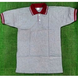 Plain Polo Cotton T Shirts With Collar - (Grey with Maroon Collar)
