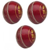Cricket Leather Ball (13)