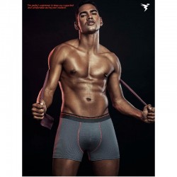 Technosport Or53 Assorted Mens Sports Underwear (Grey)