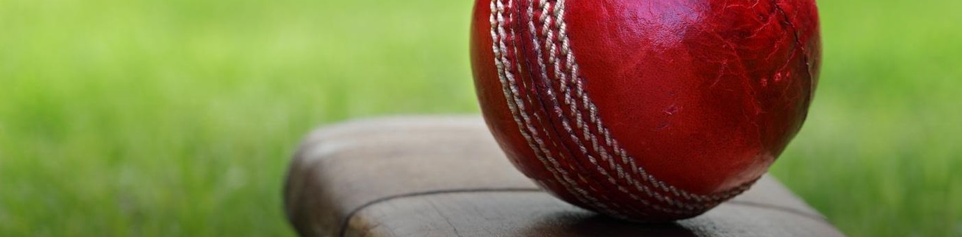  Buy Top Quality Cricket Shoes,Gloves, Pads, Bats...and many more