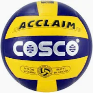 Cosco Acclaim Volleyball Balls