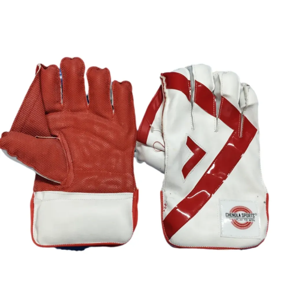Chendla Wicket Keeping Gloves