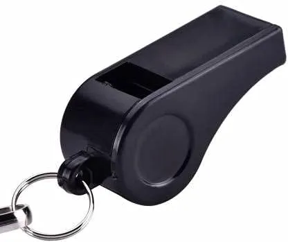 Whistle