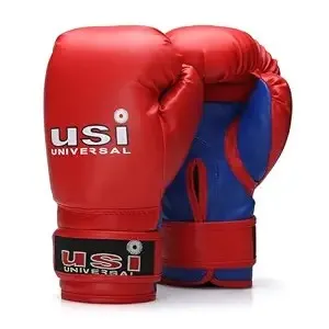 Usi Universal Boxing Gloves (S)